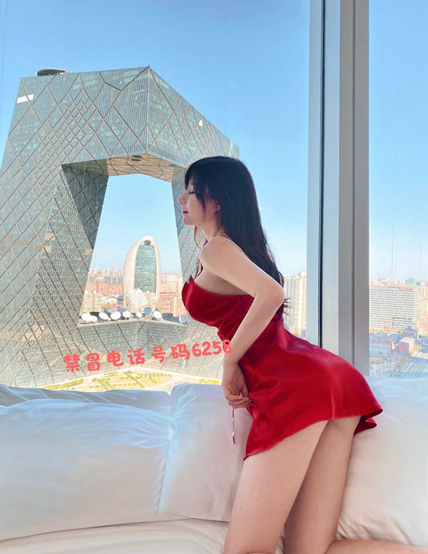 伦敦伴游价格
